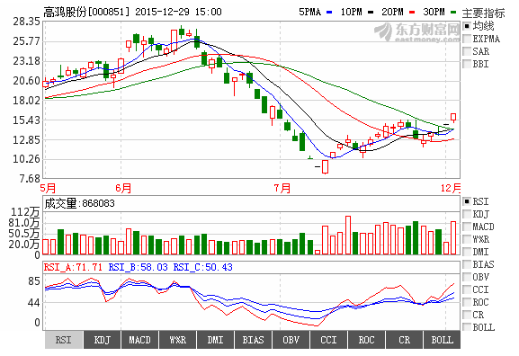 高鴻股份 計(jì)算機(jī)軟硬件技術(shù)開發(fā)的戰(zhàn)略解析與未來展望